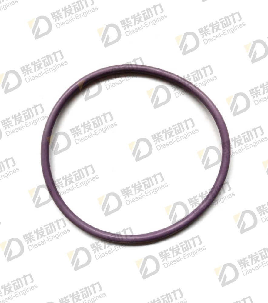 Sealing ring kit 271159 
